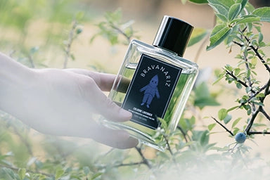 PERFUMES NATURALES PARA REGALAR EN NAVIDAD All Yours