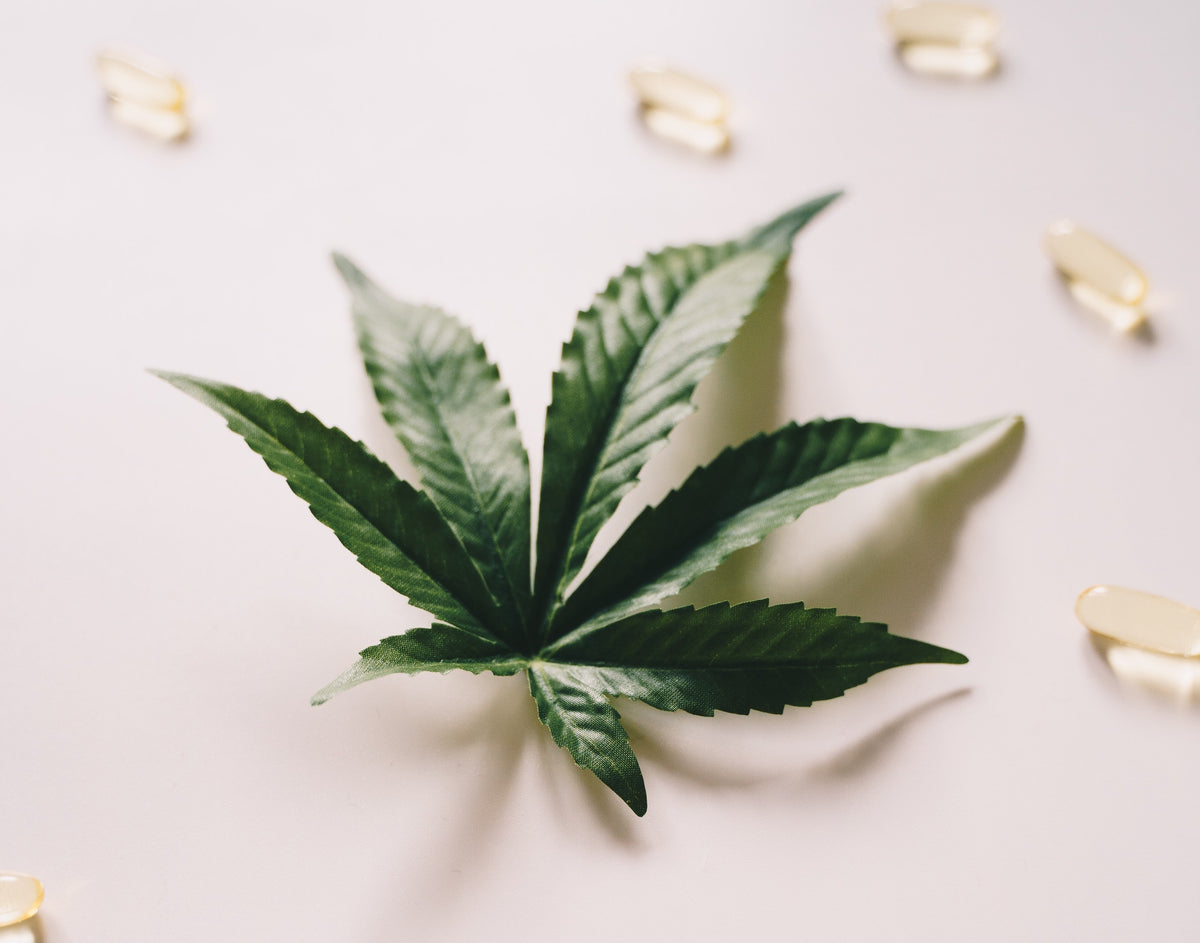 CBD Y COSMÉTICA: QUÉ BENEFICIOS APORTA A TU PIEL All Yours