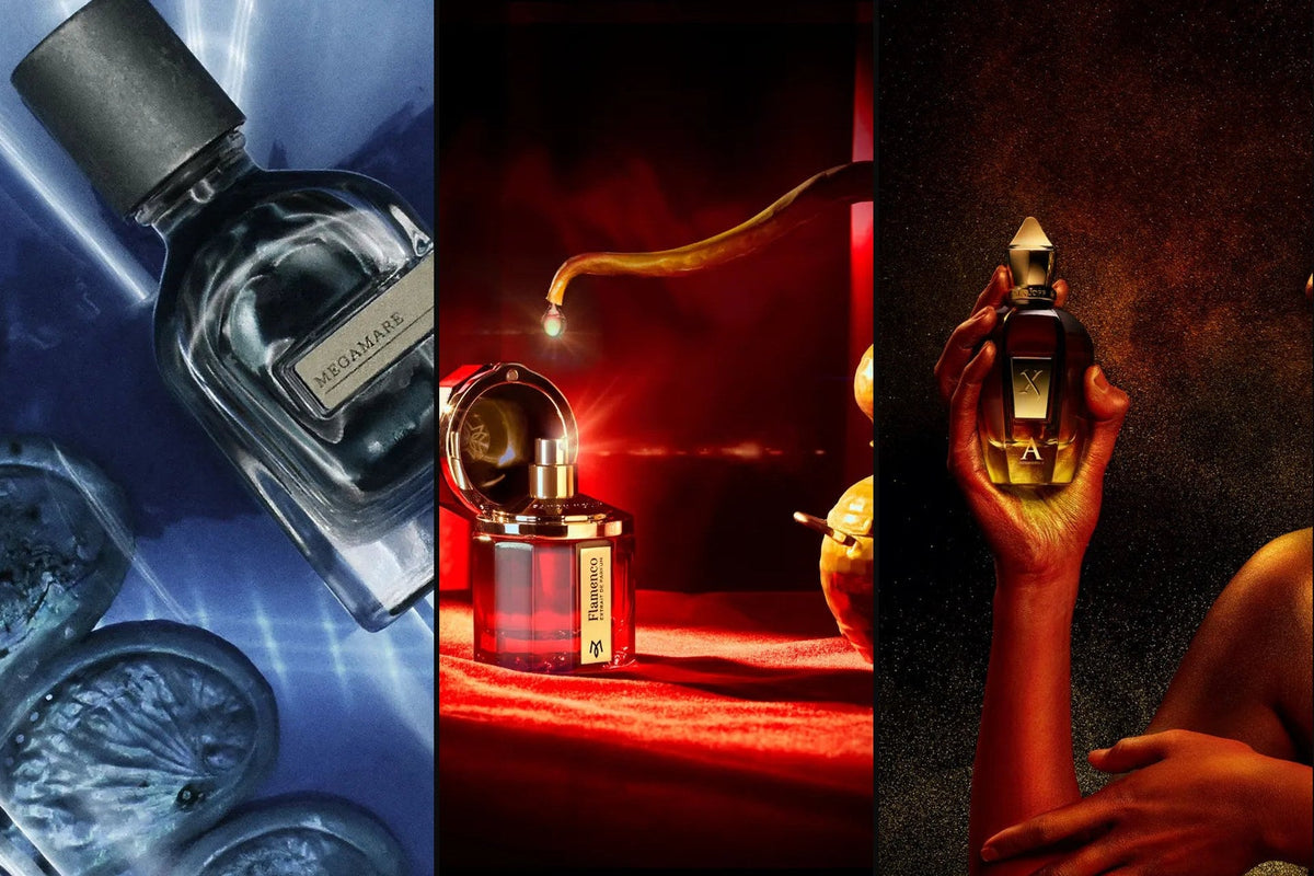 Megamare, Flamenco Extrait y Alexandria II: perfumes de hombre que duran 24 horas