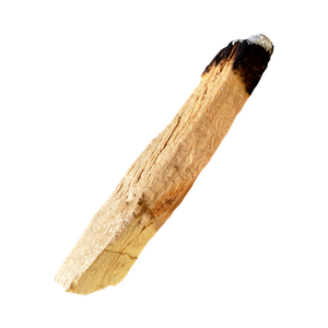 Marca Parfums mit Palo Santo perfumes nicho