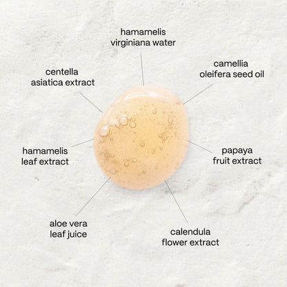 Nº1 The Purifying Cleanser