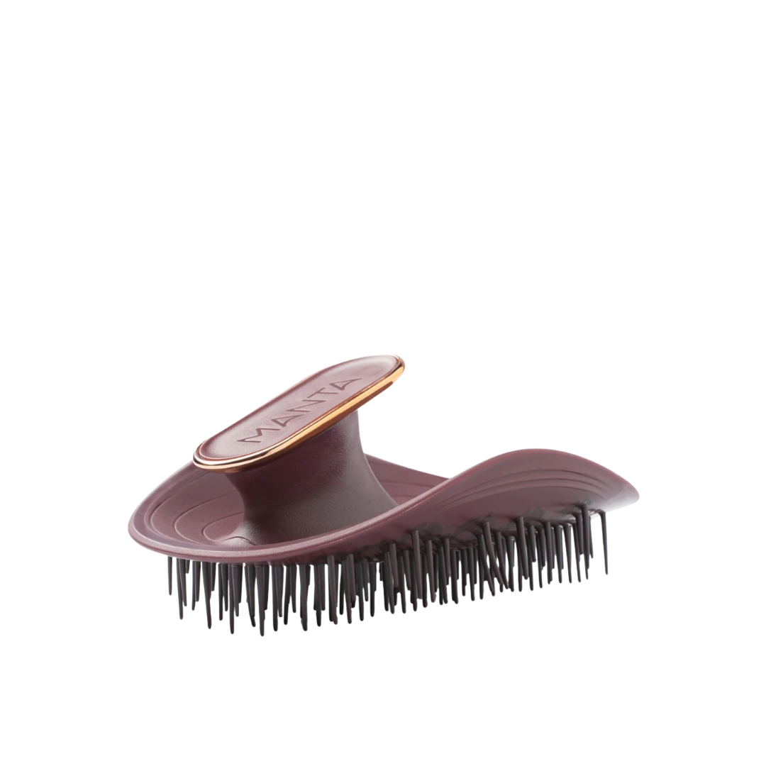 Healthy Hair Brush