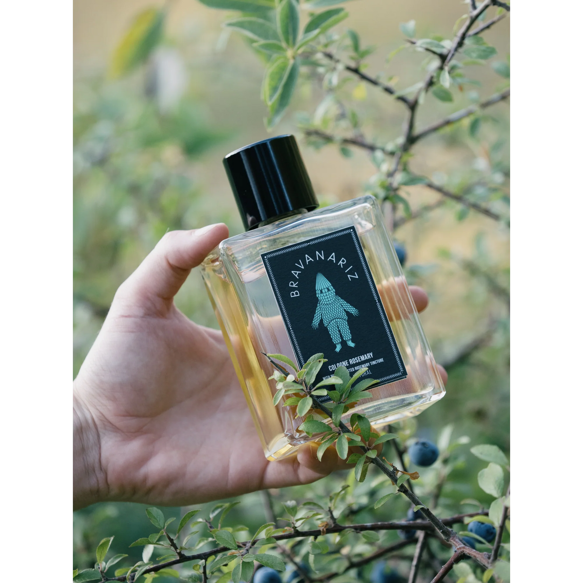Cologne Rosemary Bravanariz