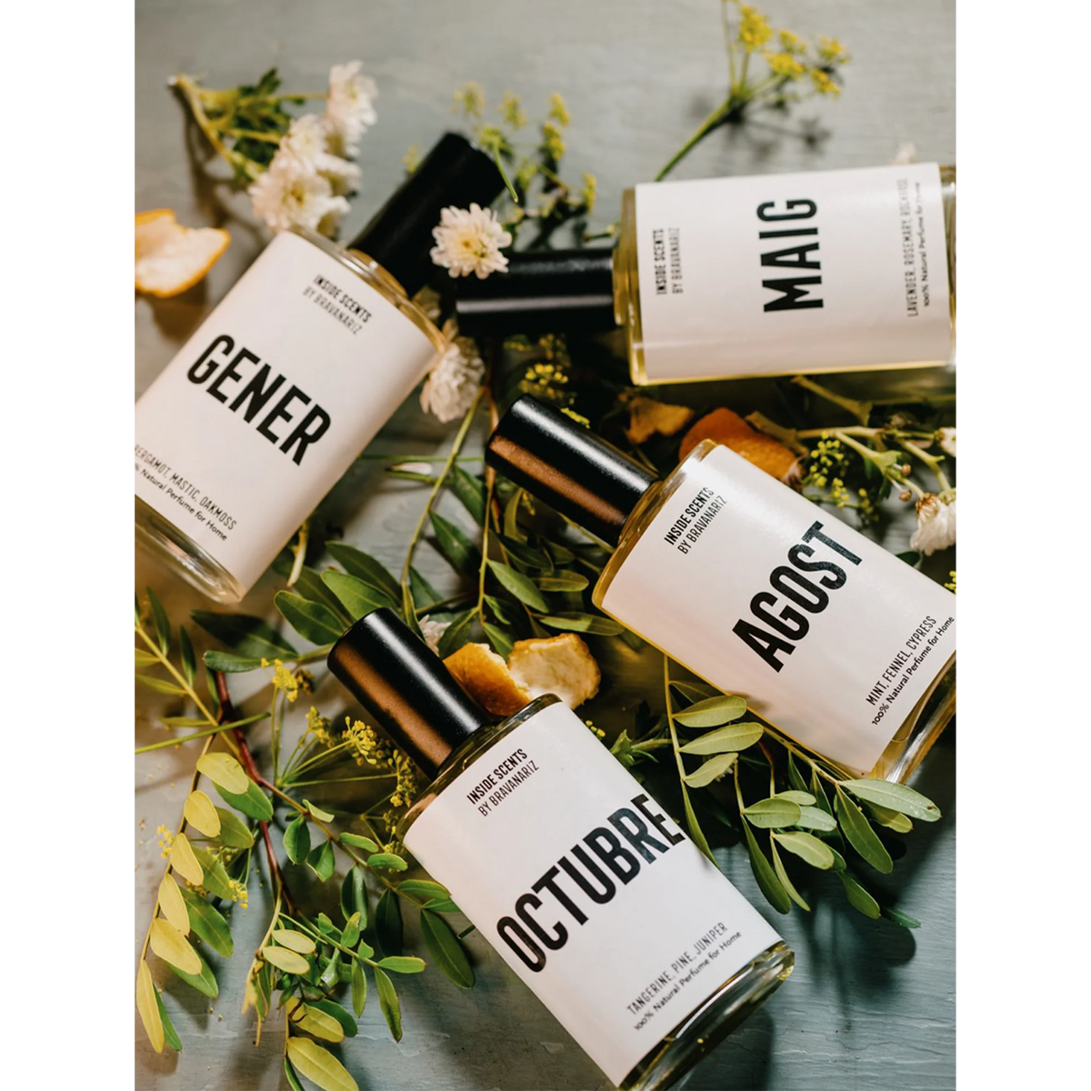 Inside Scents Pack Bravanariz