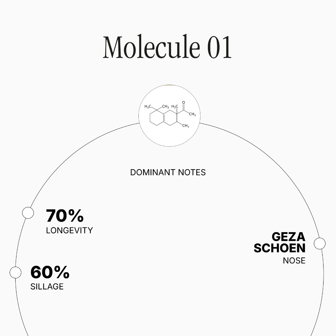 Molecule 01
