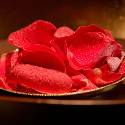 Moroccan Medjool