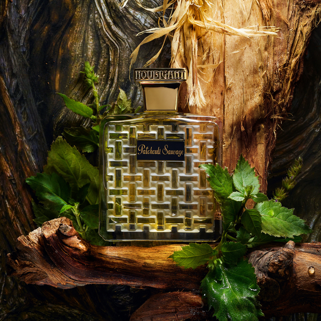 Patchouli Selvagem