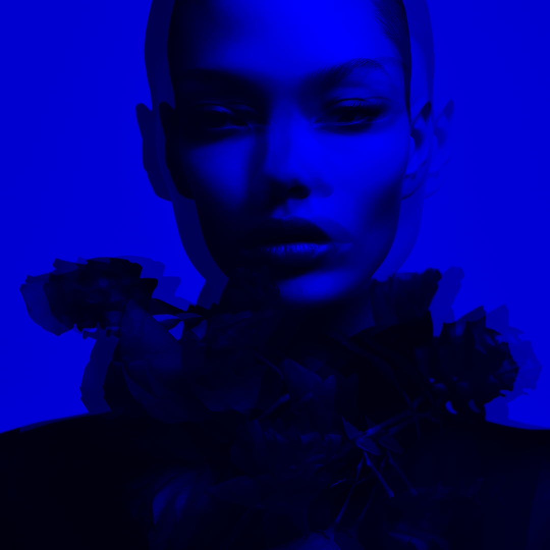 Rosa Arco-Íris