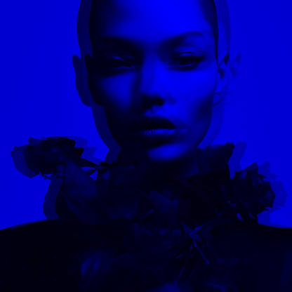 Rosa Arco-Íris