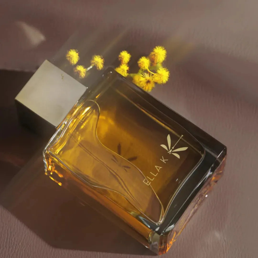 Reflet Sur L&