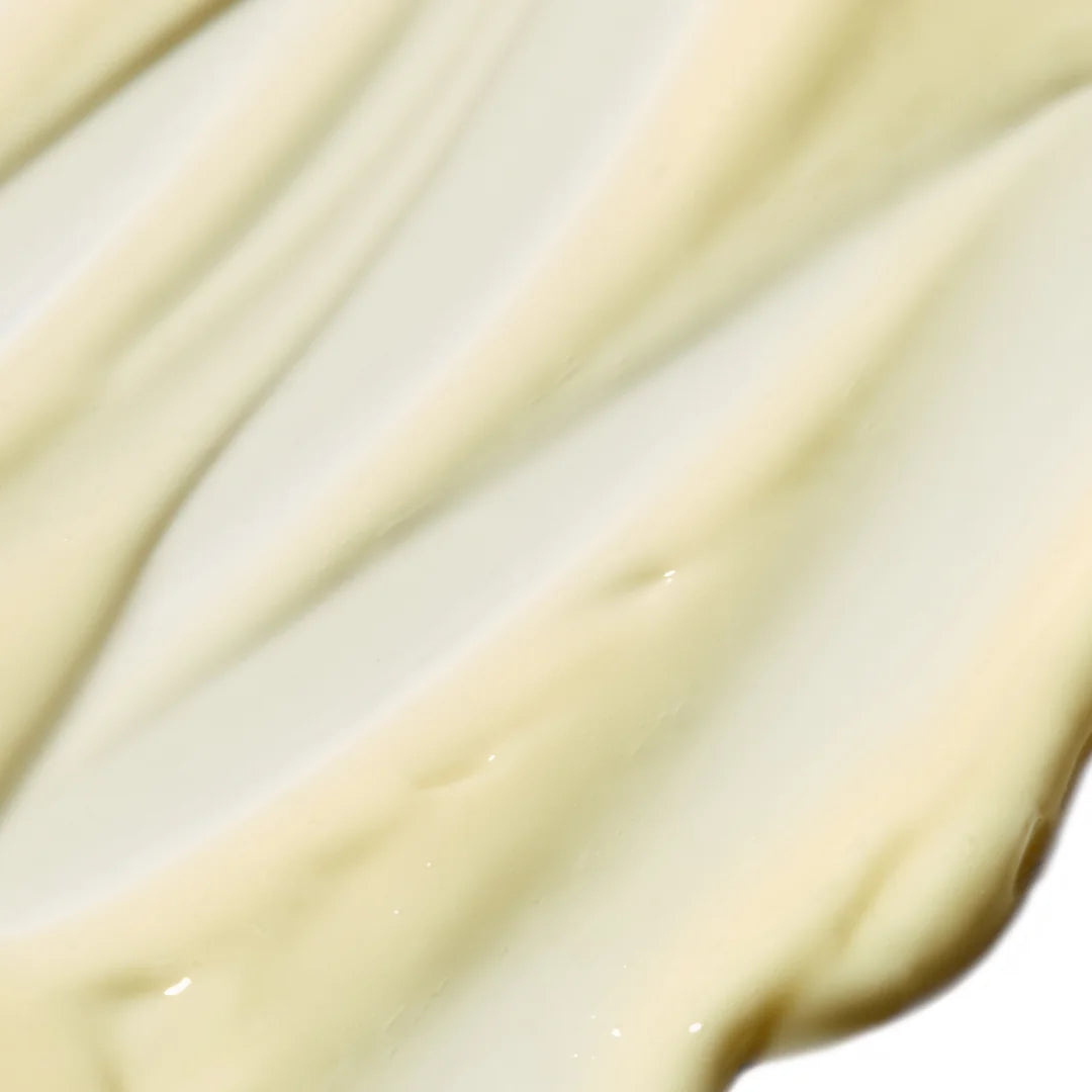 Salvation Jane | Omega Rich Moisturiser Pai Skincare