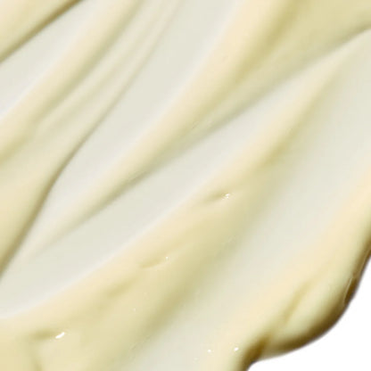 Salvation Jane | Omega Rich Moisturiser Pai Skincare